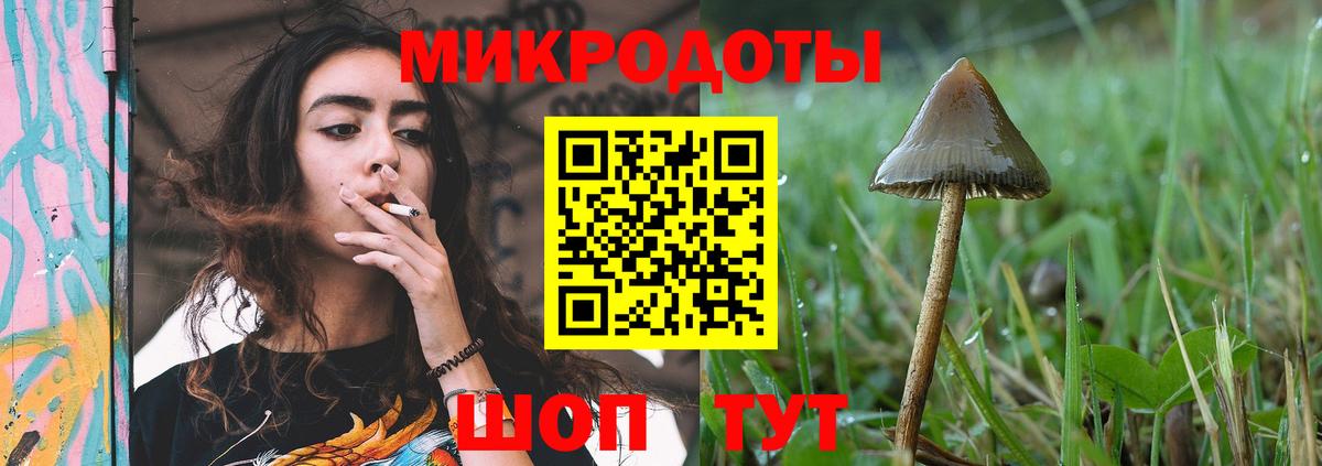 Галлюциногенные грибы Cubensis Пугачёв