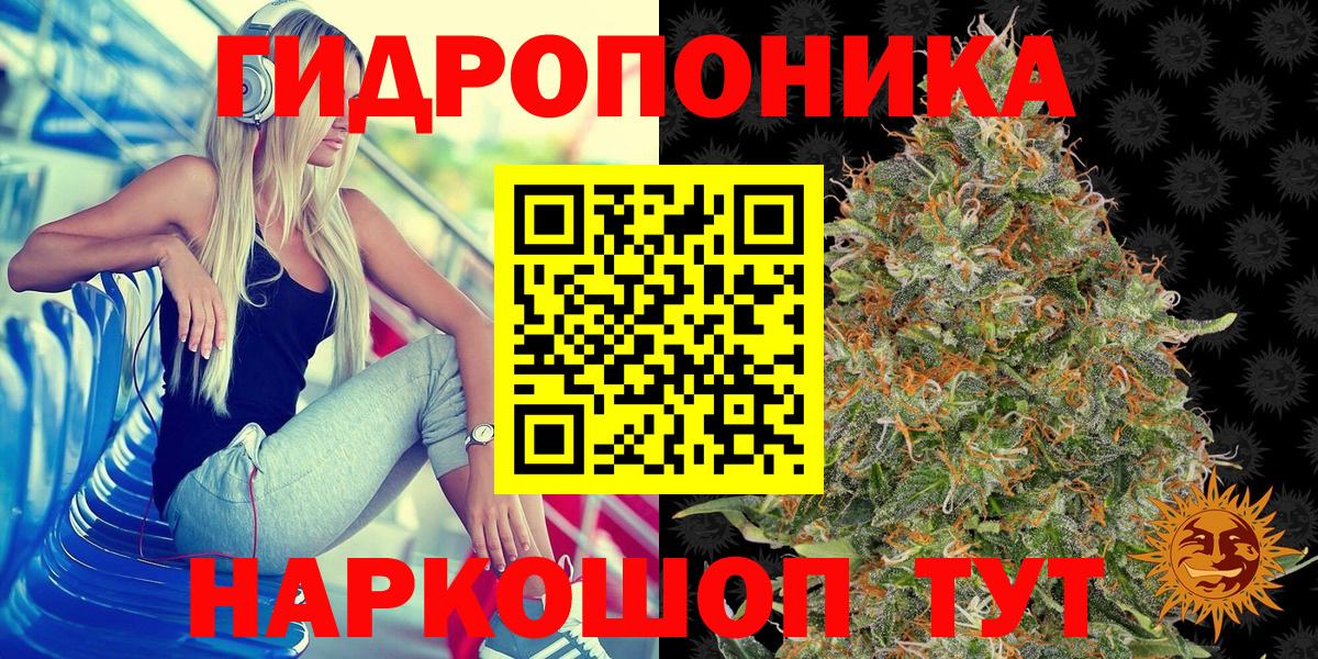 Бошки марихуана White Widow  Бошки Шишки планчик  Пугачёв  Вход с VPN 